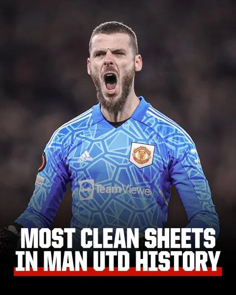 ảnh chế David De Gea 33