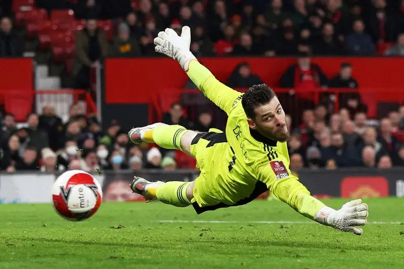 ảnh chế David De Gea 29