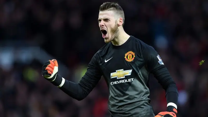 ảnh chế David De Gea 26