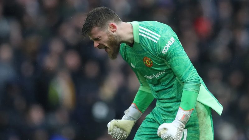 ảnh chế David De Gea 24