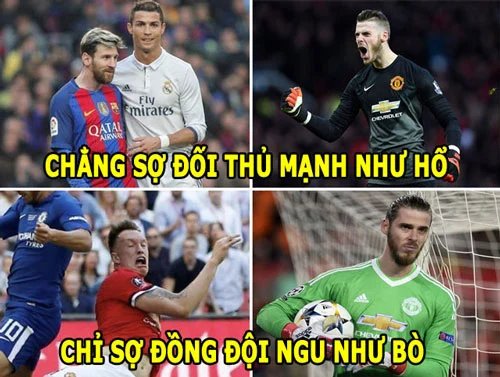 ảnh chế David De Gea 17