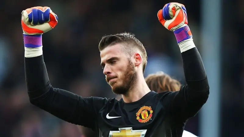 ảnh chế David De Gea 14