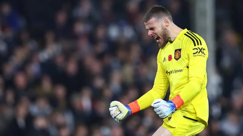 ảnh chế David De Gea 44