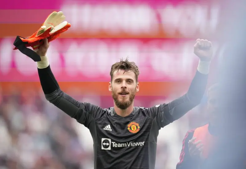 ảnh chế David De Gea 12