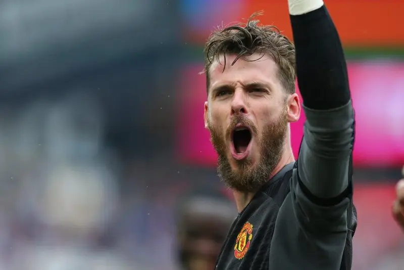 ảnh chế David De Gea 11