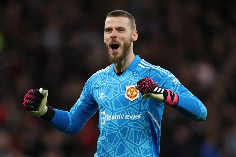 ảnh chế David De Gea 43