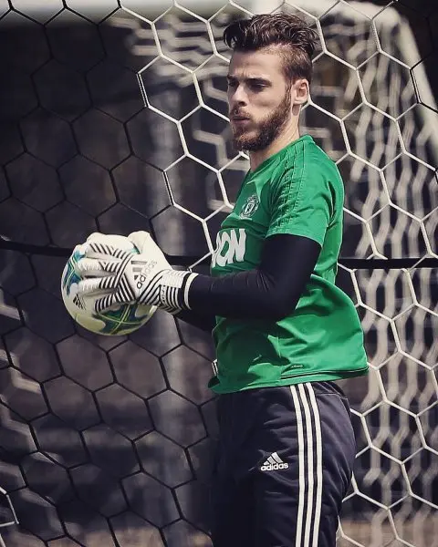 ảnh chế David De Gea 37