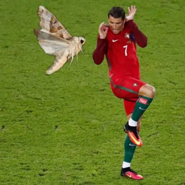 ảnh chế Cristiano Ronaldo 25 ảnh chế Cristiano Ronaldo 25