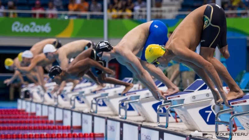 Thế vận hội Paralympic 12