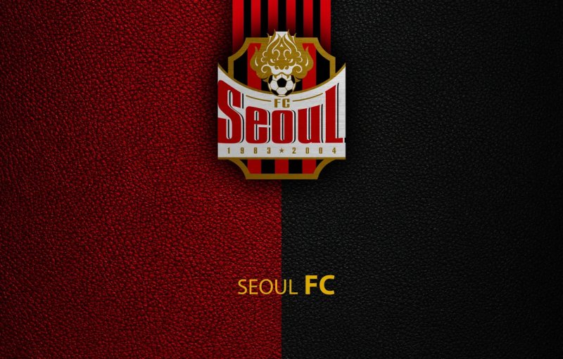 FC Seoul 44