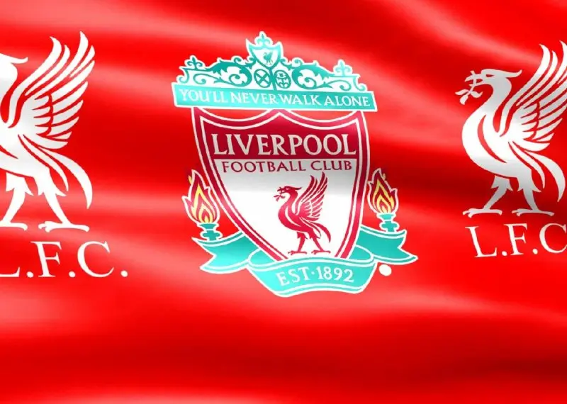 Ảnh Liverpool 14 Ảnh Liverpool 14