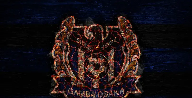 Gamba Osaka 37