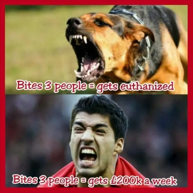  ảnh chế Luis Suárez 18