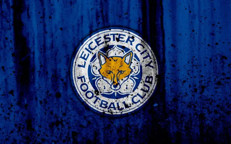 Ảnh leicester City 24