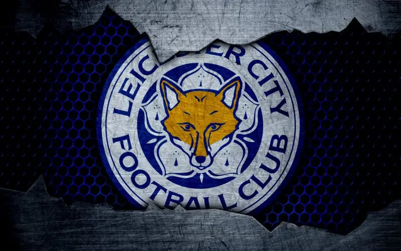 Ảnh leicester City 41