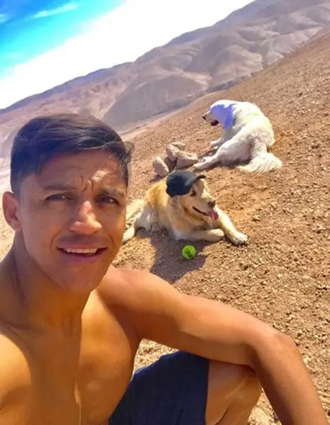 ảnh chế Alexis Sánchez 23