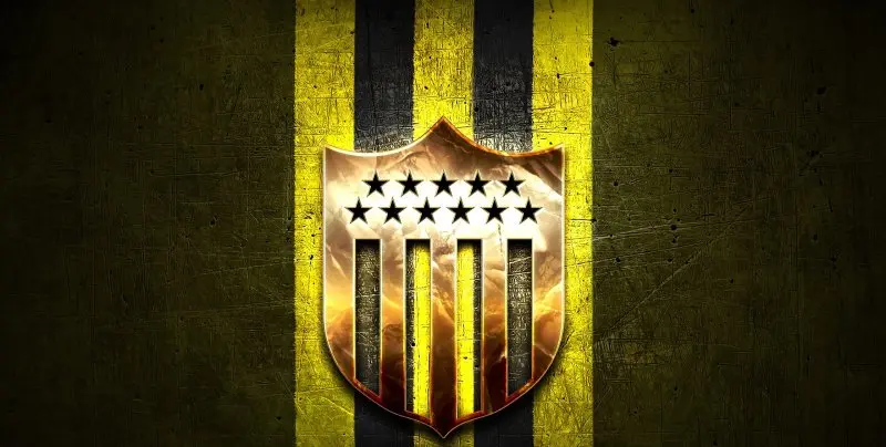 Penarol 15