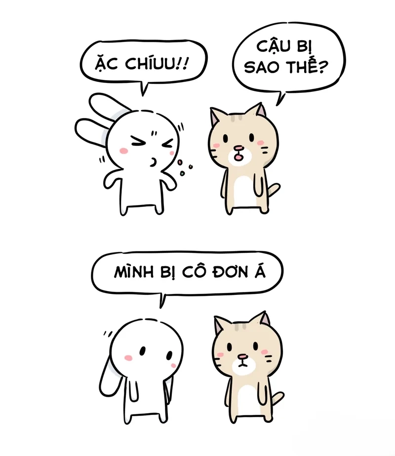 Thỏ snowball meme cực dễ thương, tạo tiếng cười thú vị.
