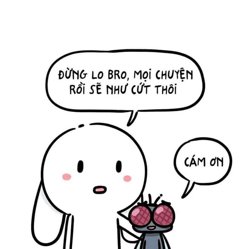 Meme thỏ cute làm bừng sáng ngày mới với tiếng cười.