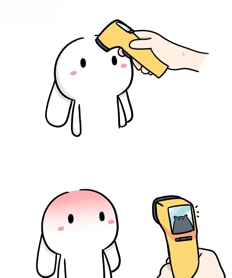 Ảnh thỏ meme là lựa chọn hoàn hảo để giải trí.