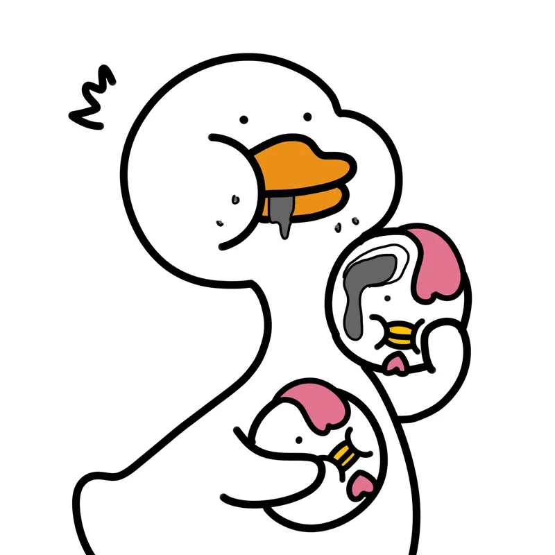 Ảnh meme vịt luôn khiến người xem mỉm cười ngay từ cái nhìn đầu tiên.