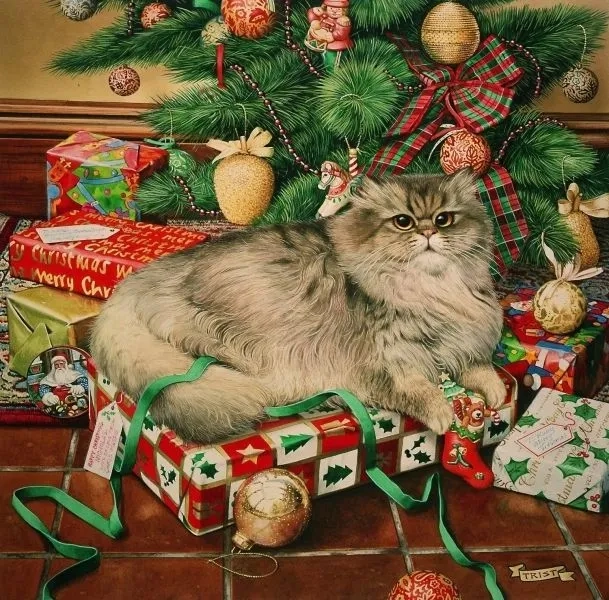 Há mồm meme mèo cười nhe răng mang đến hình ảnh hài hước và cực kỳ dễ thương.