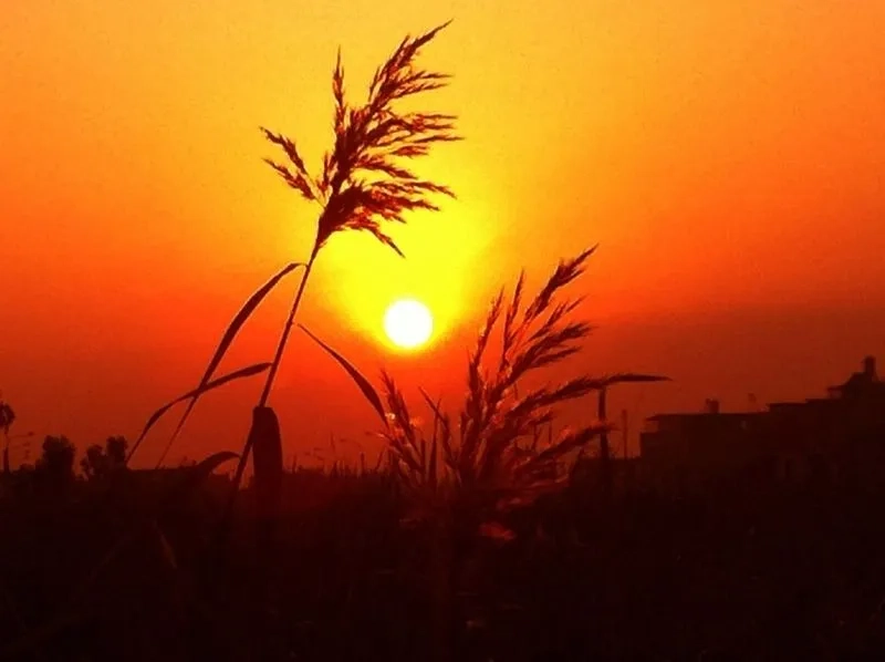 Hình nền phong cảnh biển mát mẻ xoa dịu tâm hồn