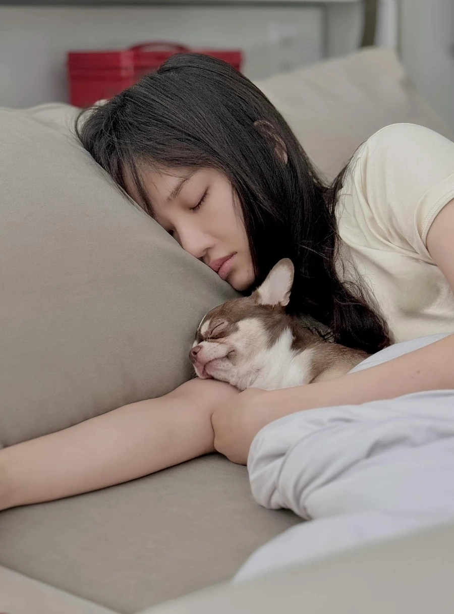 Phim Miu Lê đóng luôn nhận được sự quan tâm lớn từ khán giả yêu điện ảnh.