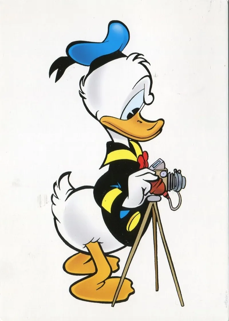 Donald vịt gây ấn tượng với hình ảnh dễ thương và vui vẻ.