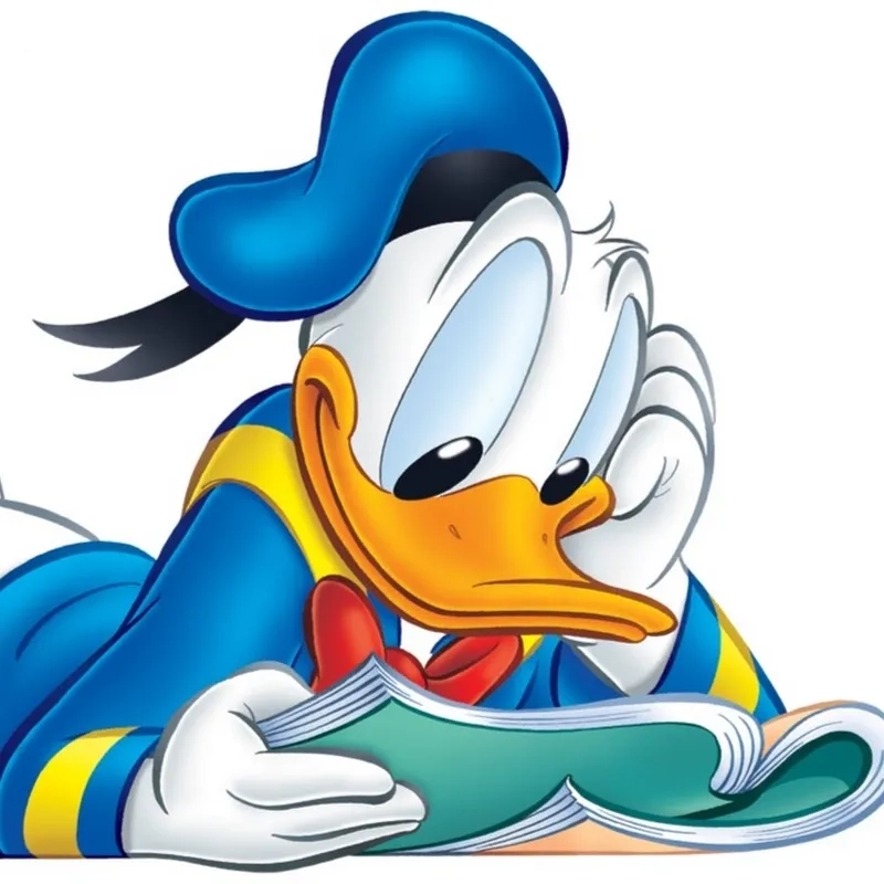 Áo vịt Donald là một lựa chọn thời trang độc đáo và dễ thương.