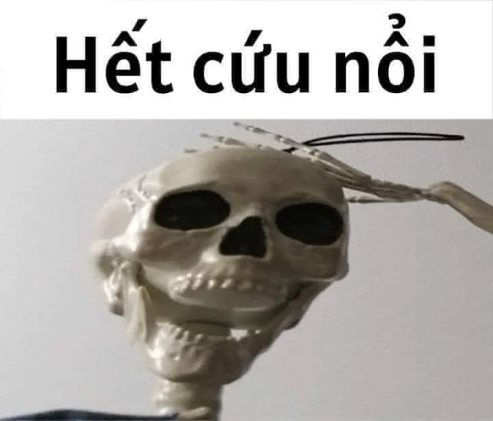 Meme không ai cứu được em đâu cười đau bụng luôn