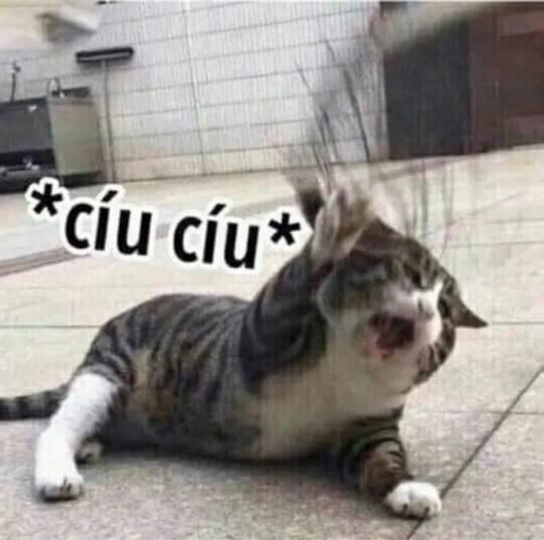 Cứu tui meme câu chuyện khiến ai cũng đồng cảm