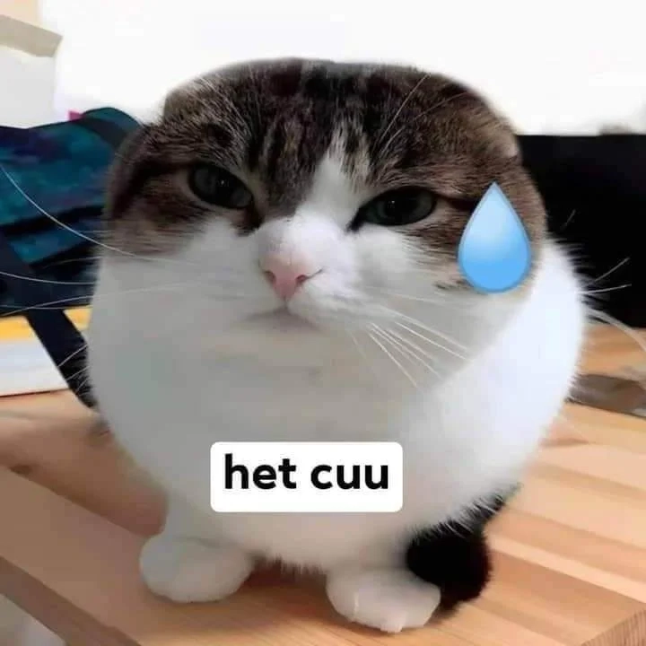 Xe cấp cứu meme chỉ gen Z mới nghĩ ra