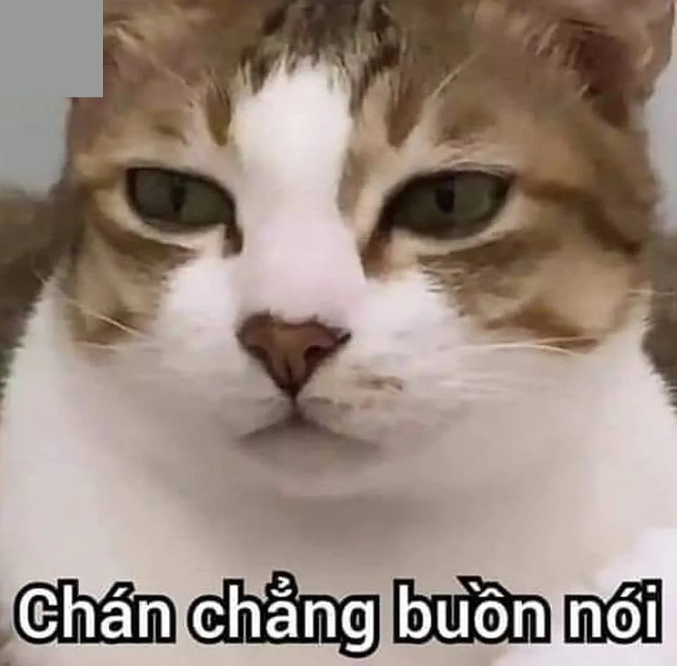 Meme giải cứu tình huống gay cấn không ngờ
