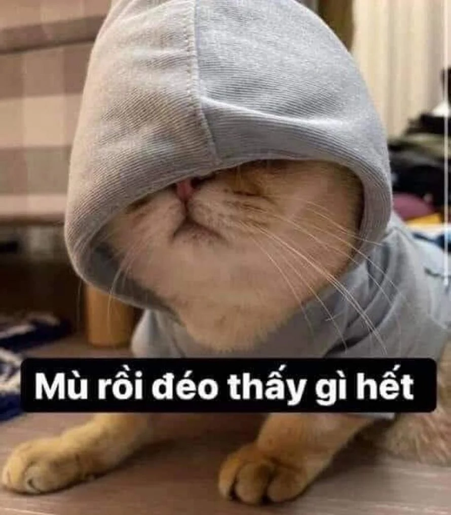 Cứu tôi meme viral mạnh trên mạng xã hội