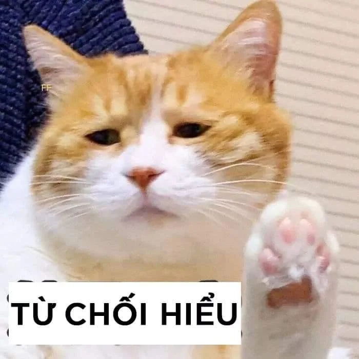 Nguồn gốc meme hết cứu bắt nguồn từ gen Z sáng tạo