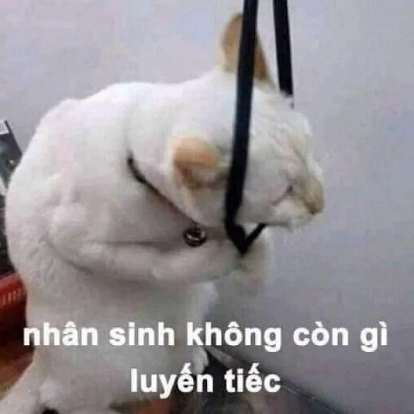Meme đang nghĩ cách cứu tình huống ngược đời