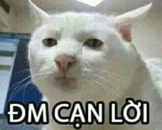 Meme cứu card gì nữa gen Z lại sáng tạo bất ngờ