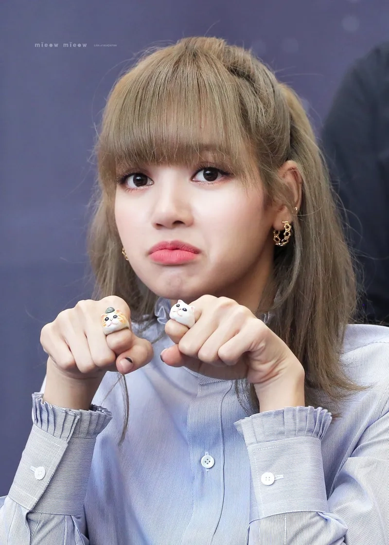 Blackpink lisa meme face mang lại những khoảnh khắc đáng yêu và hài hước từ biểu cảm của Lisa.