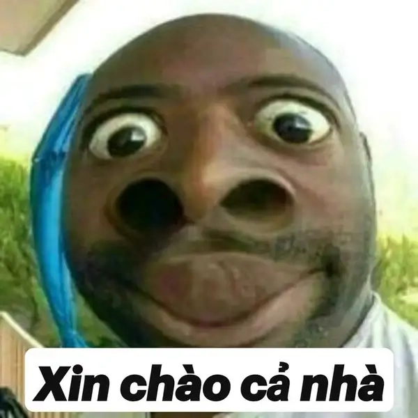 Gấu trúc đáng yêu trong meme xin chào