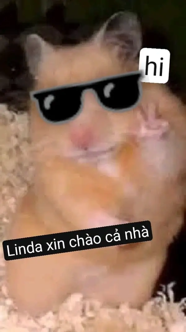 Meme chào cậu vui vẻ đáng yêu nhất