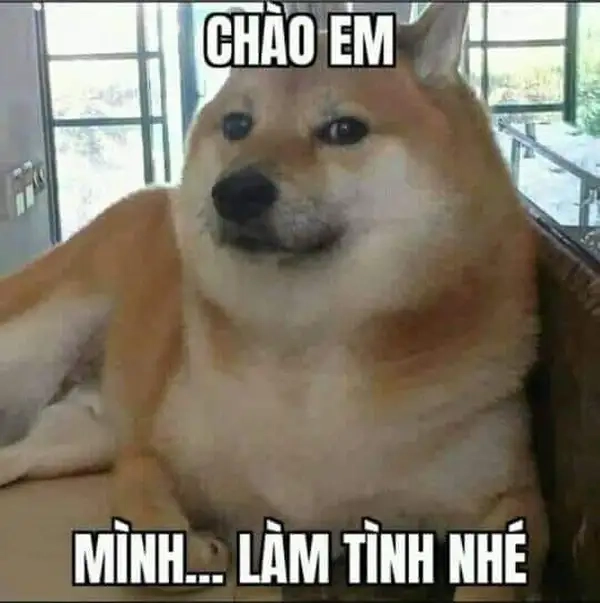 Ảnh chào meme đang được yêu thích