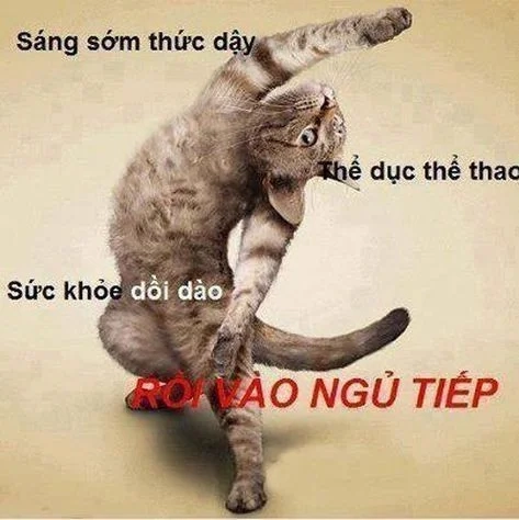 Meme em chào đại ca siêu chất và ngầu