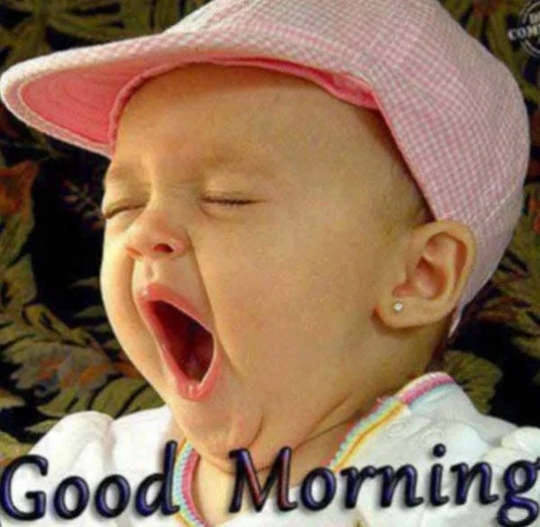 Chào đồng chí meme vui nhộn hài hước