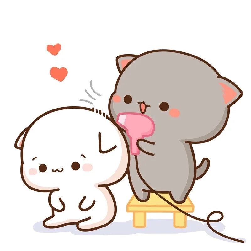 Ảnh mèo cute meme làm tan biến căng thẳng với sự dễ thương tuyệt đối.