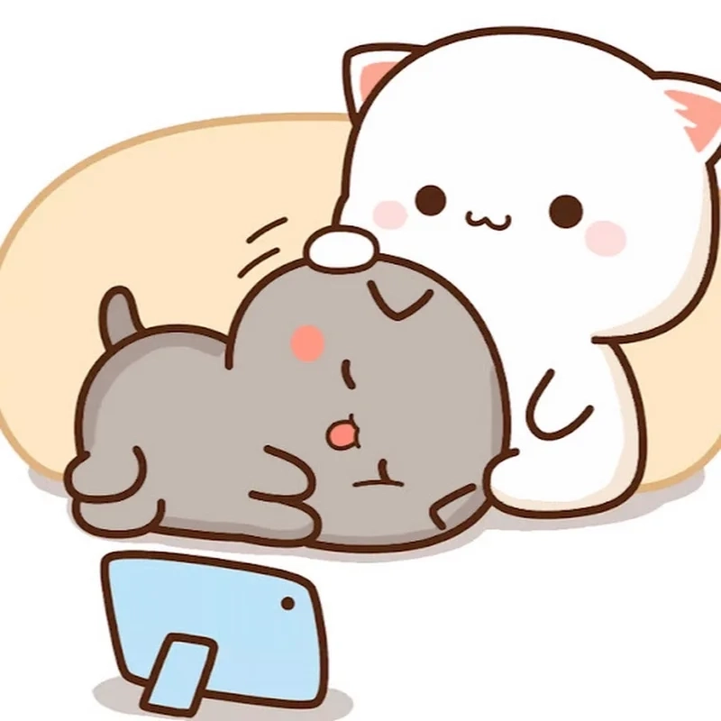 Cute meme mèo tặng hoa mang đến thông điệp yêu thương và ngộ nghĩnh.