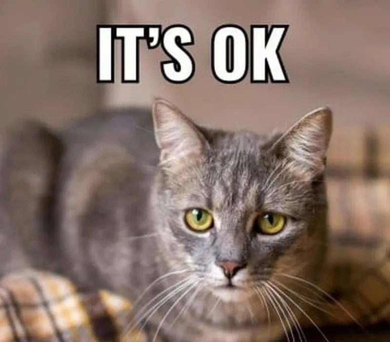 Tải ngay are you ok bro meme template sáng tạo.