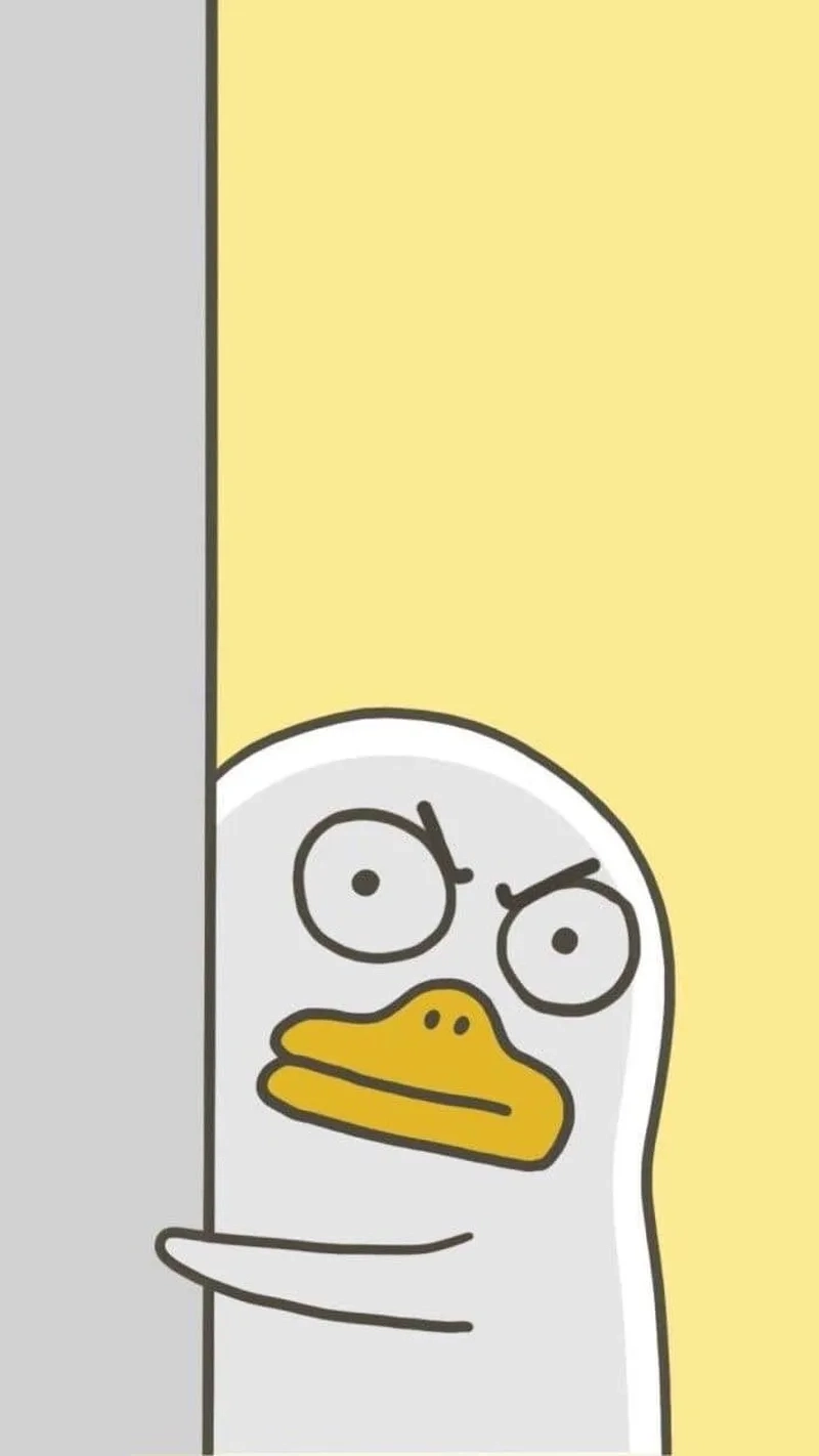 Ảnh mèo cute meme giận dỗi khiến ai cũng phải bật cười với sự dễ thương của mèo.