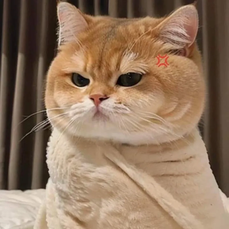 Ảnh meme giận dỗi làm mọi người phải bật cười khi nhìn thấy biểu cảm giận dỗi hài hước.