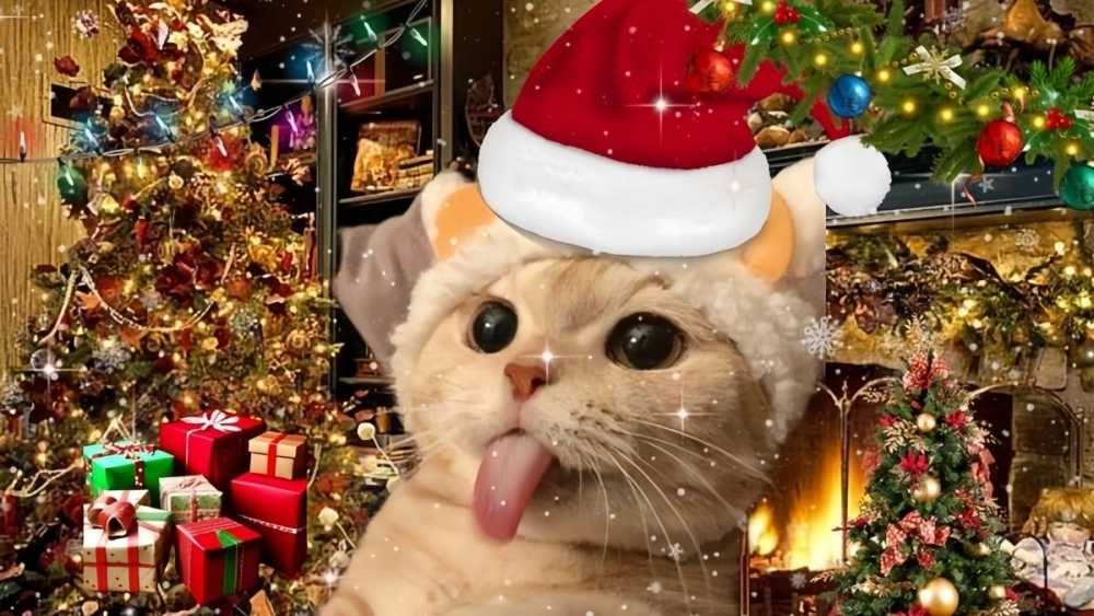 Meme mèo noel cute mang đến không khí ấm áp và ngọt ngào trong mùa lễ hội.